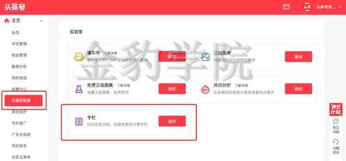 到头条怎么申请专栏,头条专栏申请全攻略